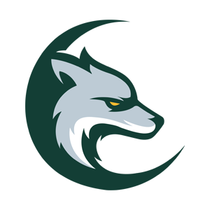 link to School Spirit Store